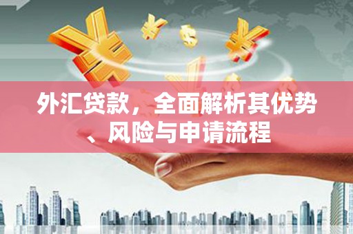 埇桥外汇贷款，全面解析其优势、风险与申请流程