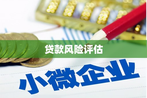 埇桥贷款风险评估