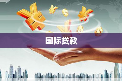 埇桥国际贷款
