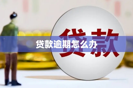 埇桥贷款逾期怎么办