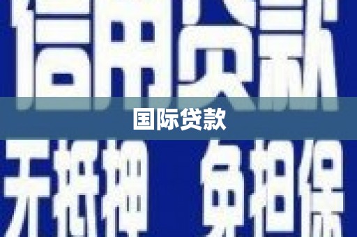埇桥国际贷款