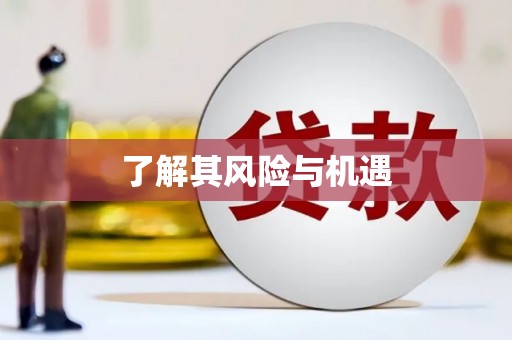 埇桥了解其风险与机遇