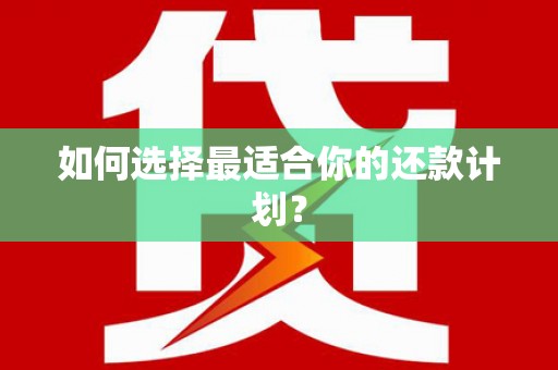 埇桥如何选择最适合你的还款计划？