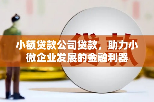 埇桥小额贷款公司贷款，助力小微企业发展的金融利器