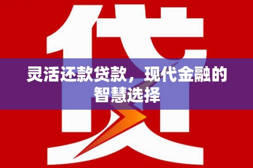 埇桥灵活还款贷款，现代金融的智慧选择