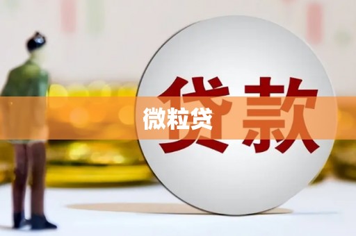 埇桥微粒贷