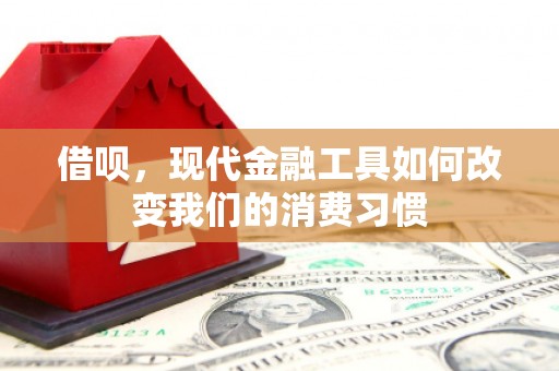 埇桥借呗，现代金融工具如何改变我们的消费习惯