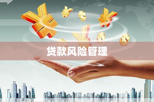 埇桥贷款风险管理
