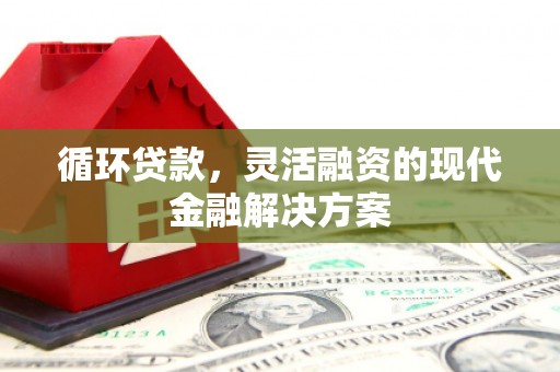 埇桥循环贷款，灵活融资的现代金融解决方案