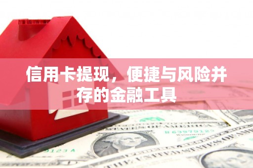 埇桥信用卡提现，便捷与风险并存的金融工具