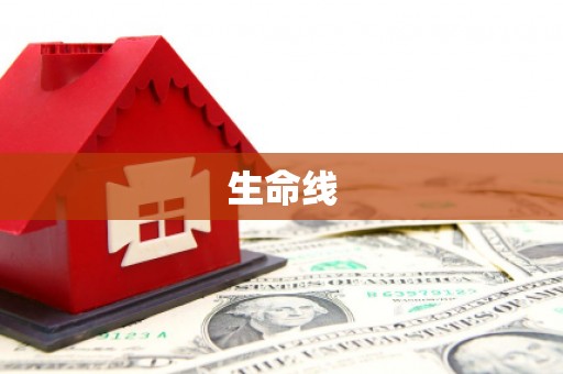 埇桥生命线