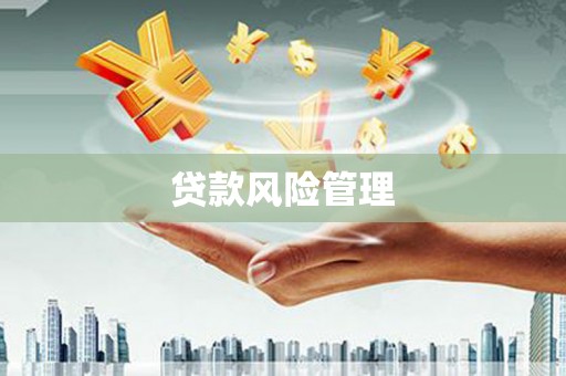 埇桥贷款风险管理