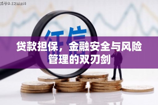 埇桥贷款担保，金融安全与风险管理的双刃剑