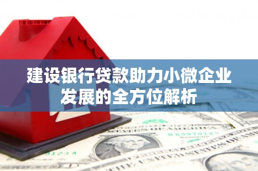 埇桥建设银行贷款助力小微企业发展的全方位解析