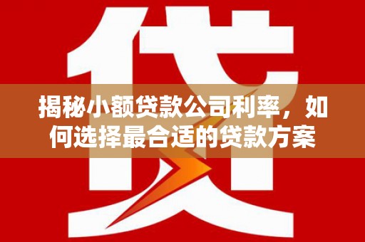 埇桥揭秘小额贷款公司利率，如何选择最合适的贷款方案
