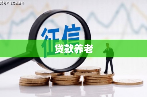 埇桥贷款养老