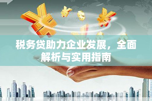 埇桥税务贷助力企业发展，全面解析与实用指南