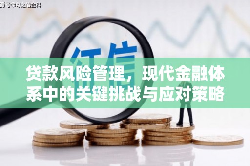 埇桥贷款风险管理，现代金融体系中的关键挑战与应对策略