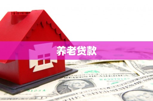 埇桥养老贷款