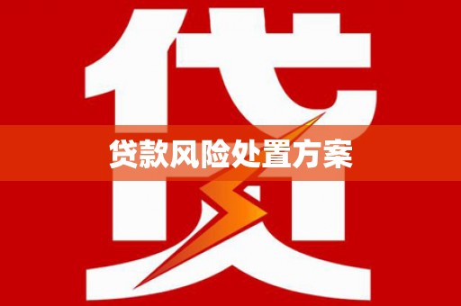 埇桥贷款风险处置方案