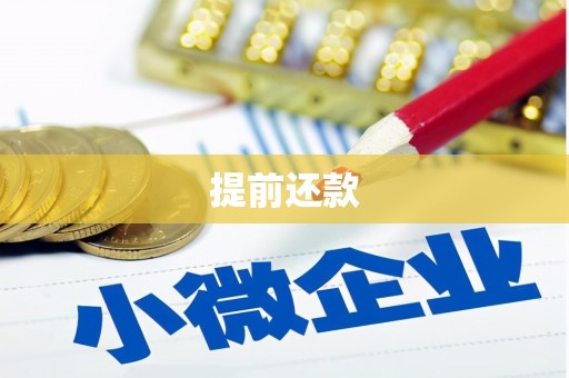 埇桥提前还款